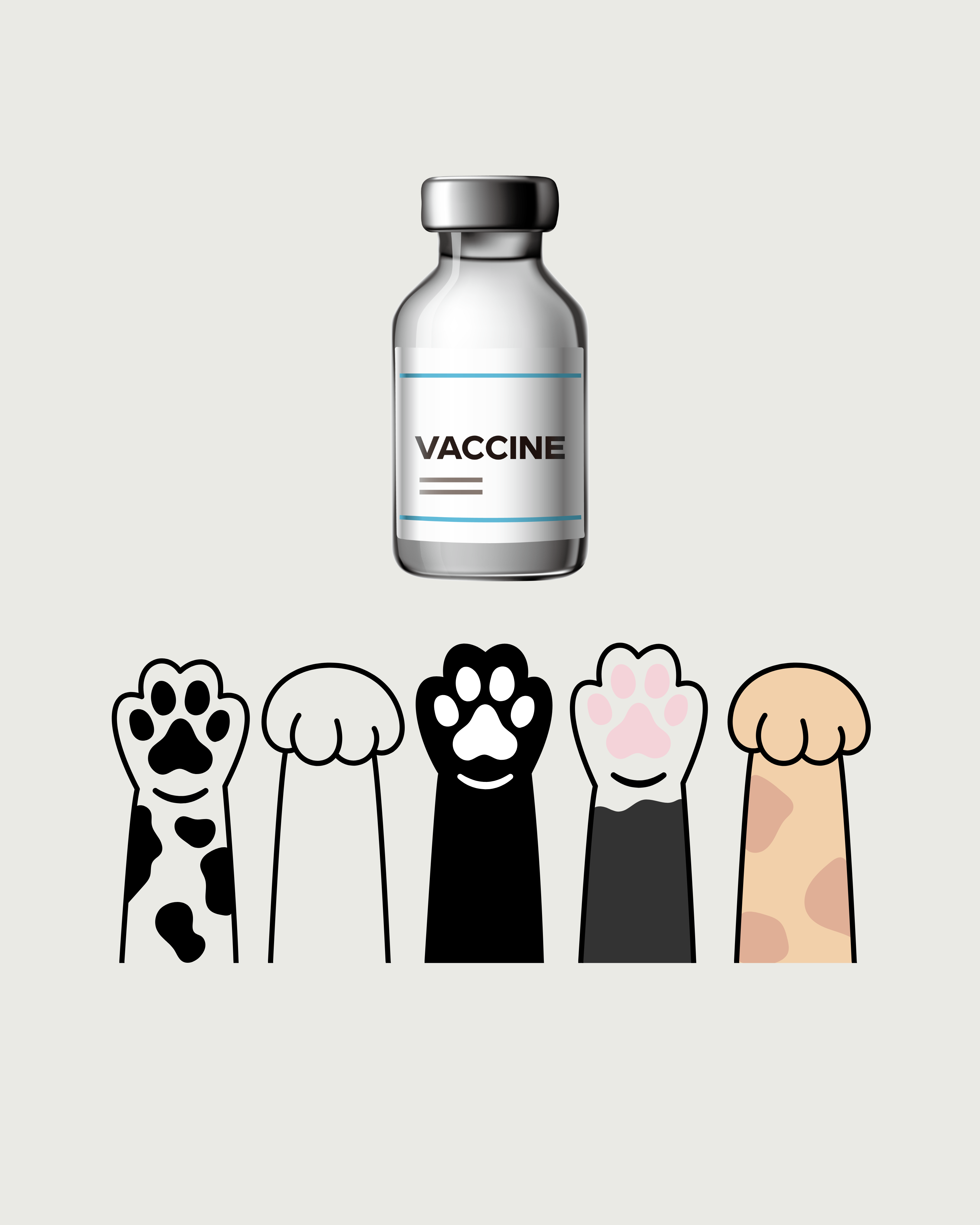 Counterfeit Rabies Vaccine Alert